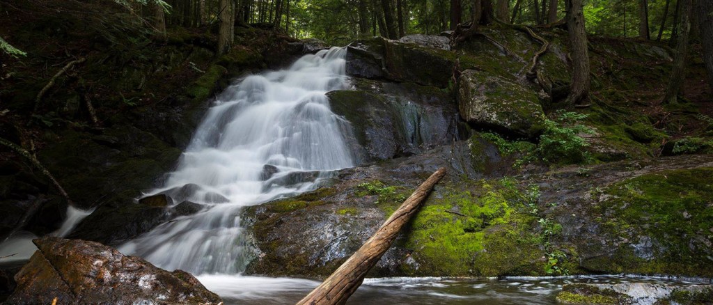 The Beauty of Alder&nbsp;Falls