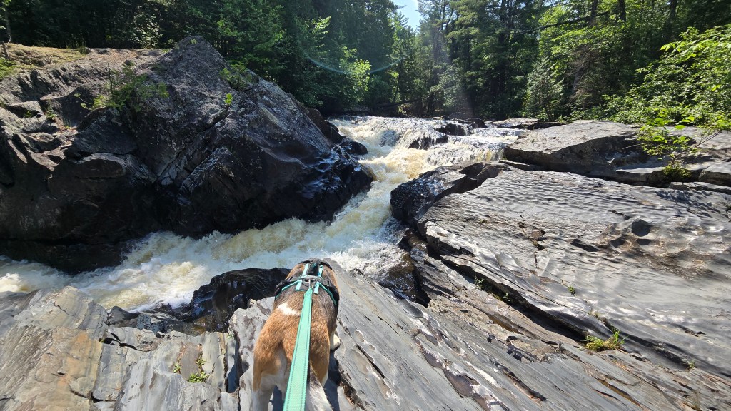 Silver Falls