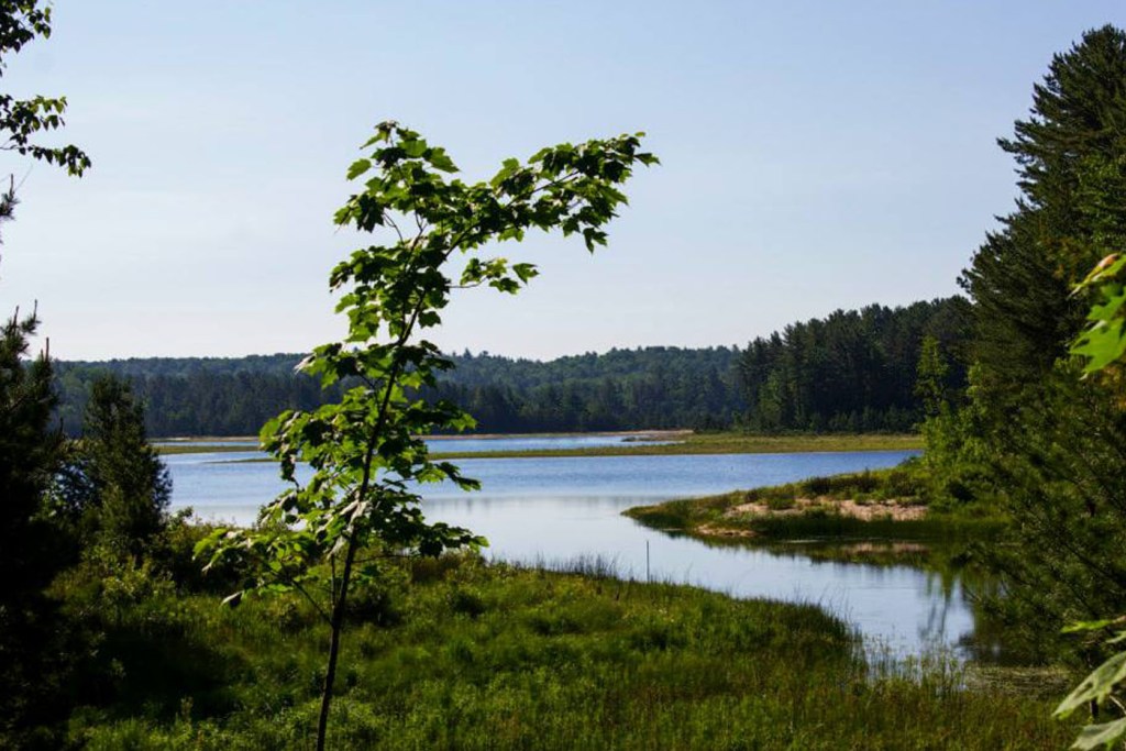 Kingston Lake State Forest Campground