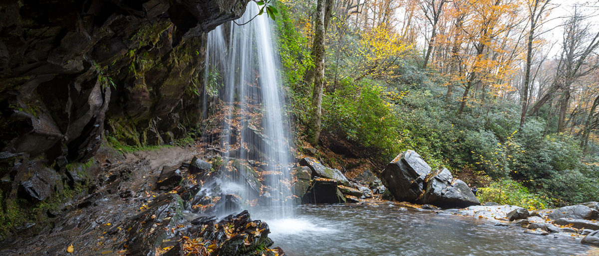 The Smokies: Grotto Falls