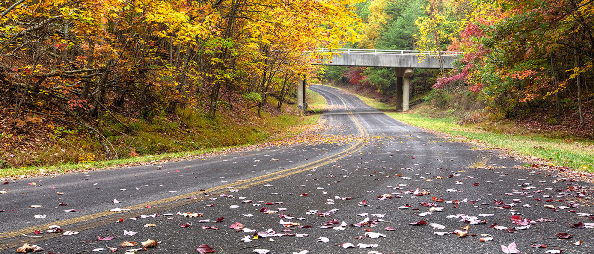 The Smokies: The Road Less Traveled, Foothills Parkway