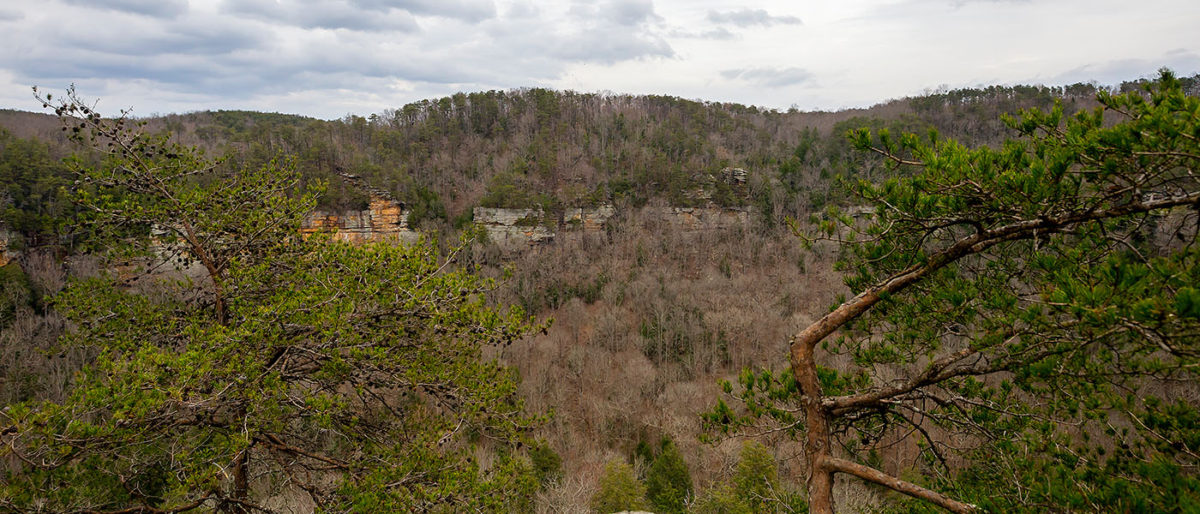 A Tennessee Gem: Fall Creek Falls State Park