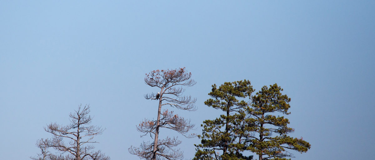 Finding Nature at Seney Wildlife Refuge