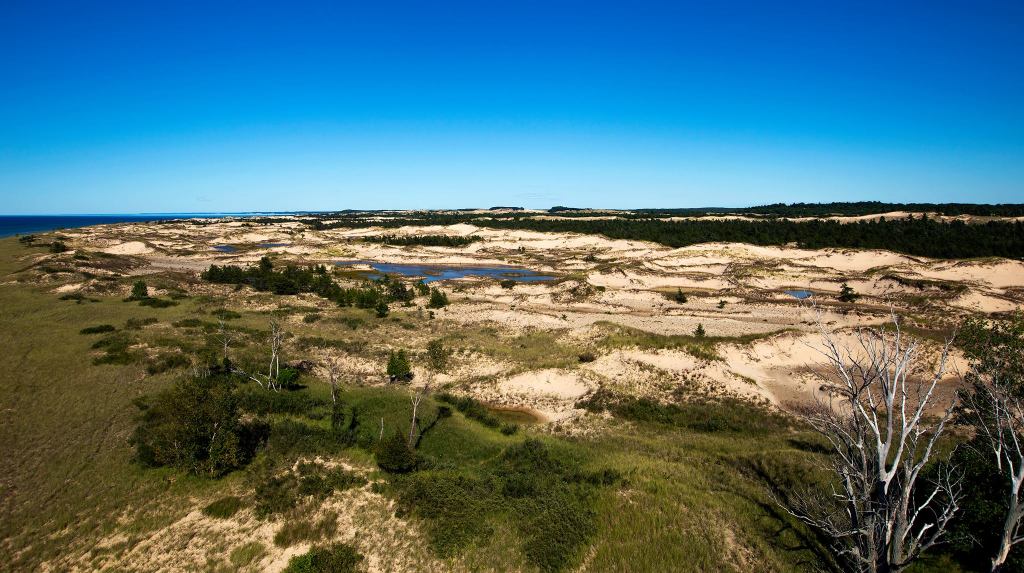 Dunes from Big Sable Lighthouse tower