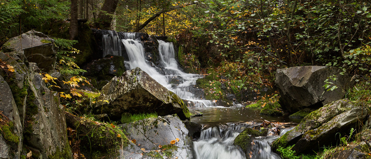 The Beauty of Ogemaw Falls