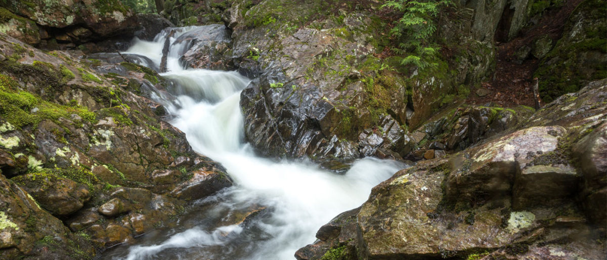 An Explorer’s Guide to Big Pup Falls