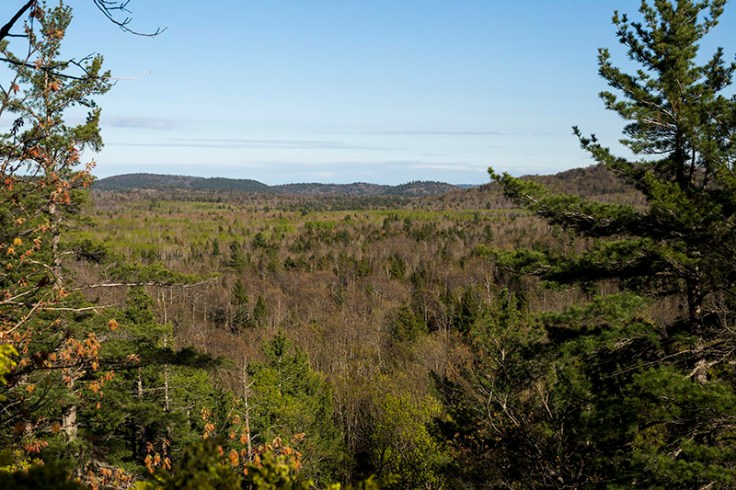View from AAA Wall