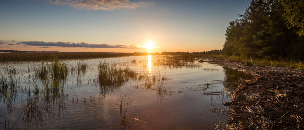 Camping at Cheboygan State Park