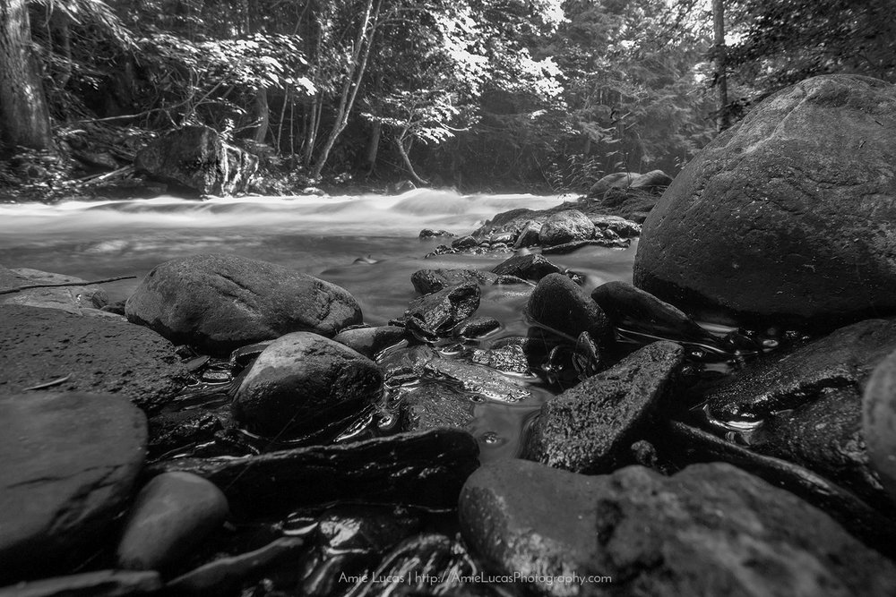 Carp River