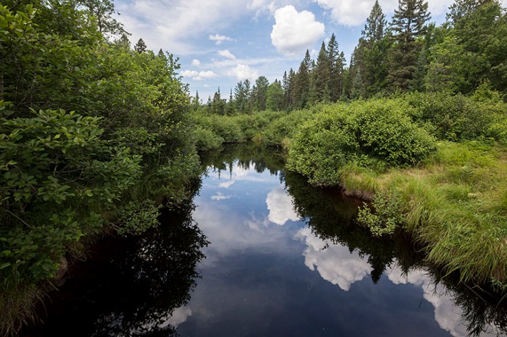 Mulligan Creek