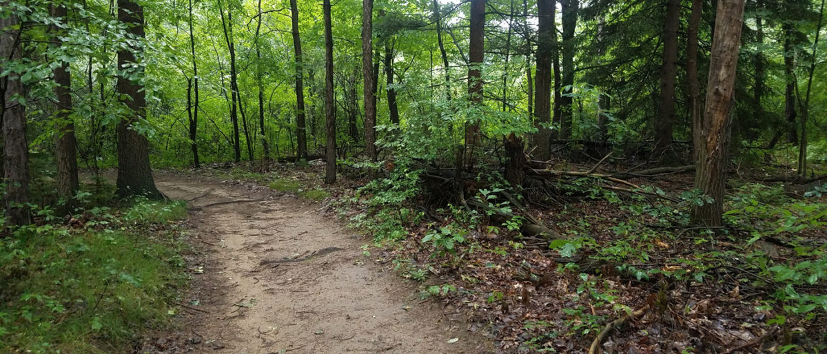 Hike Lansing: Lake Lansing North Park