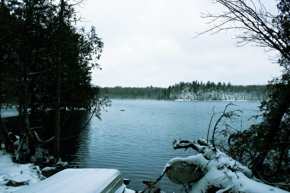 Teddy Lake