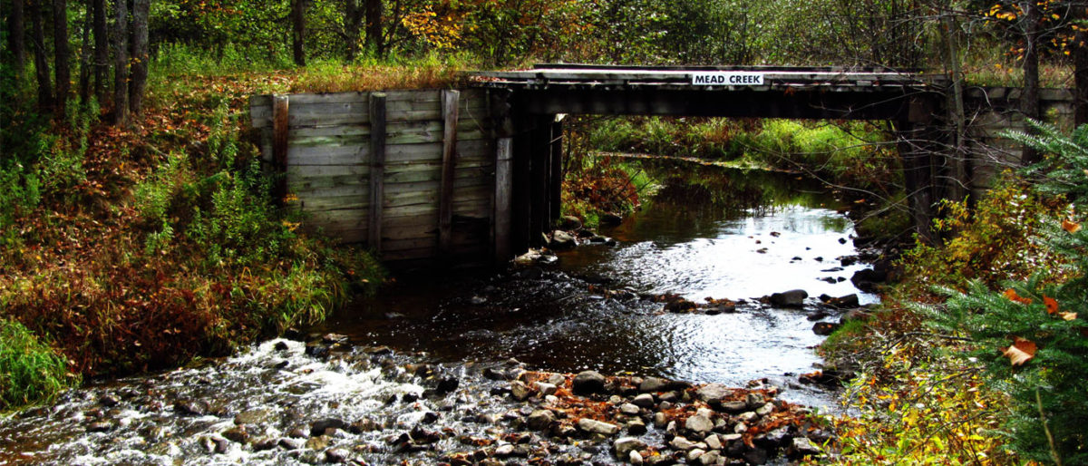 Mead Creek State Forest Campground