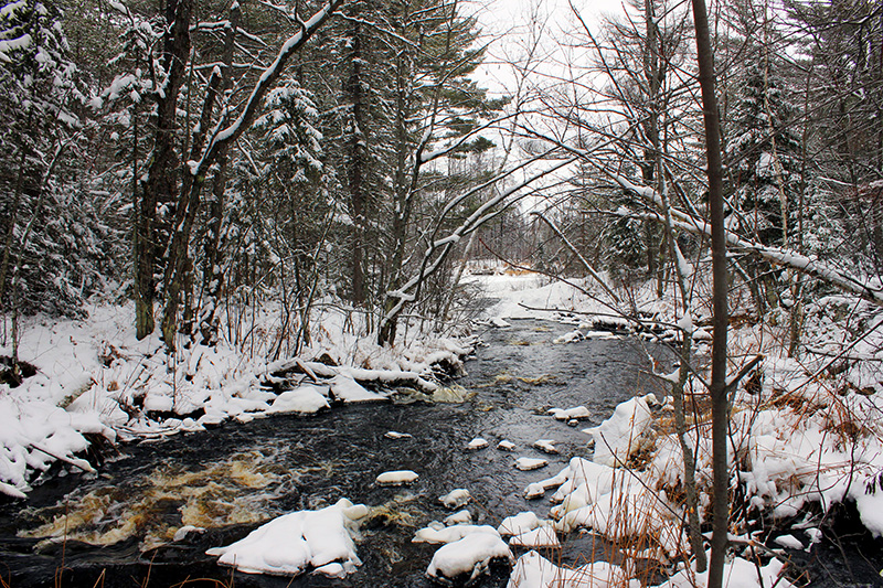 Black River