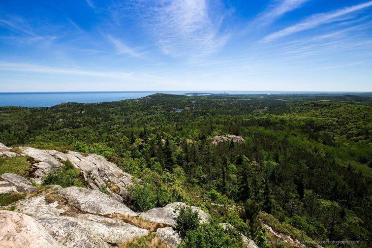View from Hogback Mountain