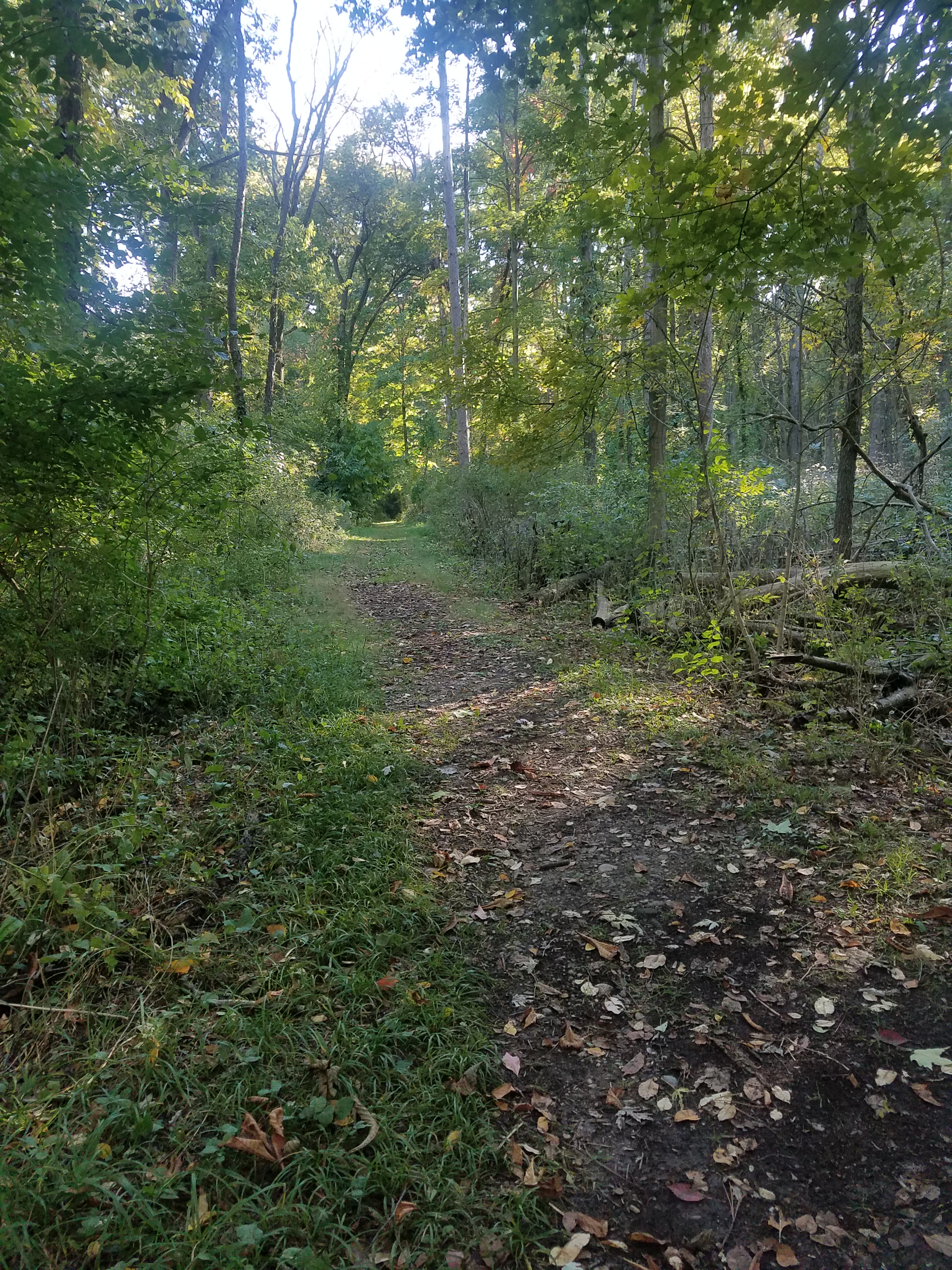 Connector Trail