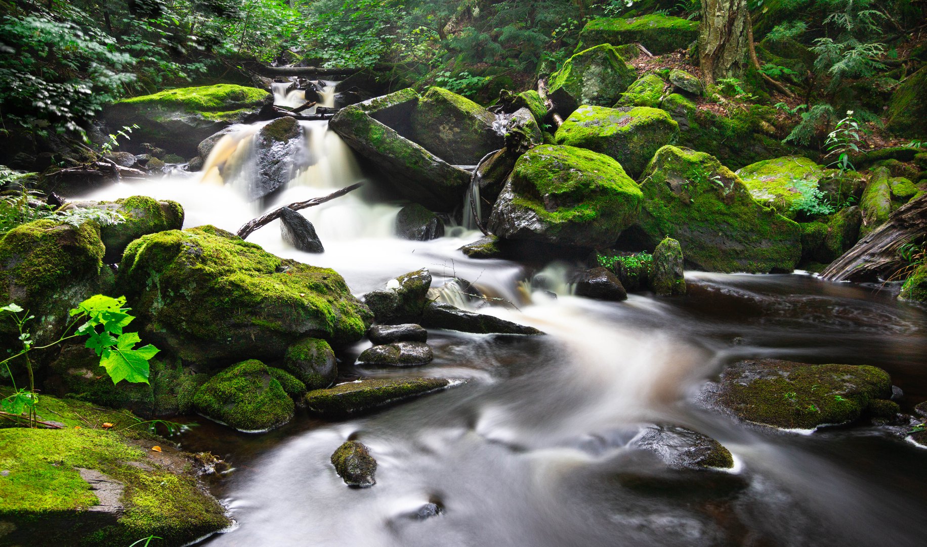 Rapids of Bulldog Falls