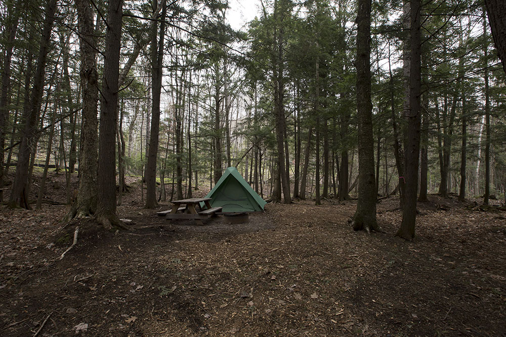 Tent