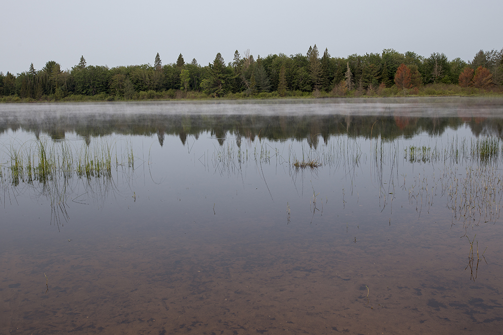 Otter Lake