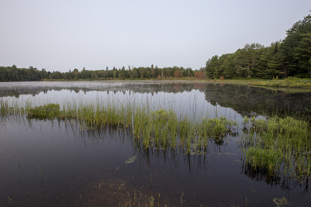 Otter Lake