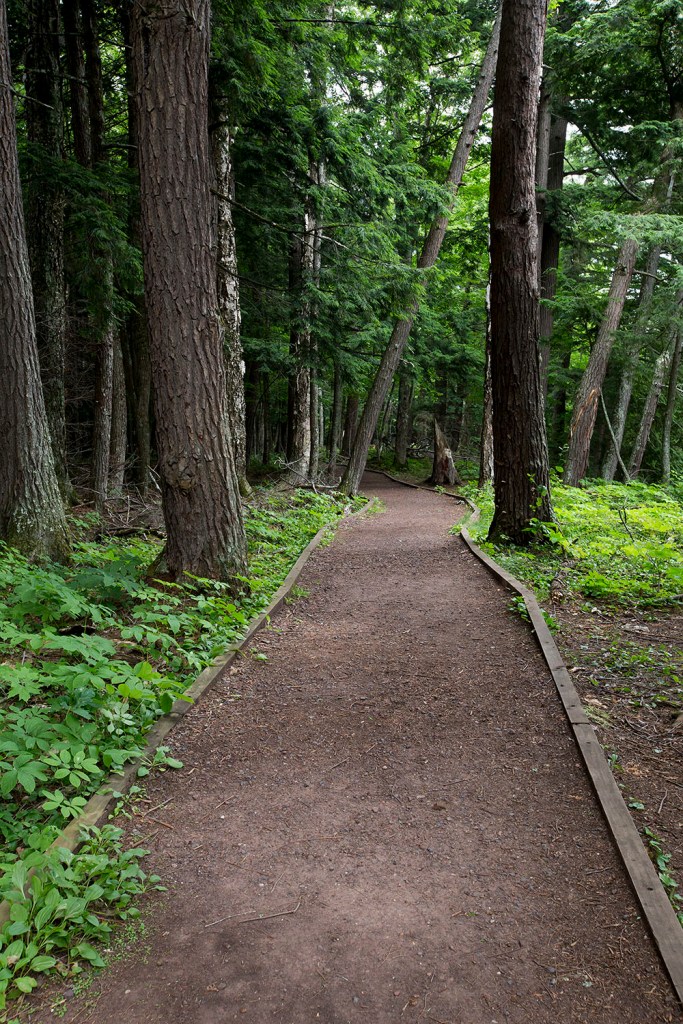 Trail