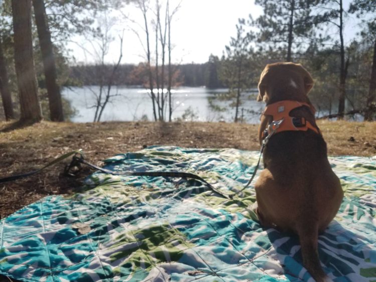 A Weekend at Town Corners Lake State Forest Campground