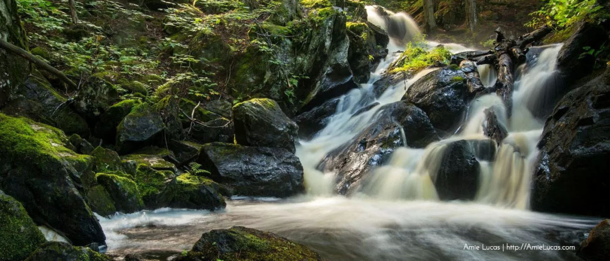 A Rewarding Hike to Bulldog Falls