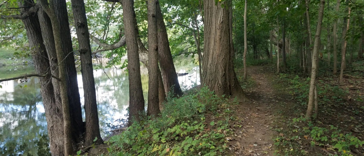 Running the Trails at Burchfield, and Riverbend