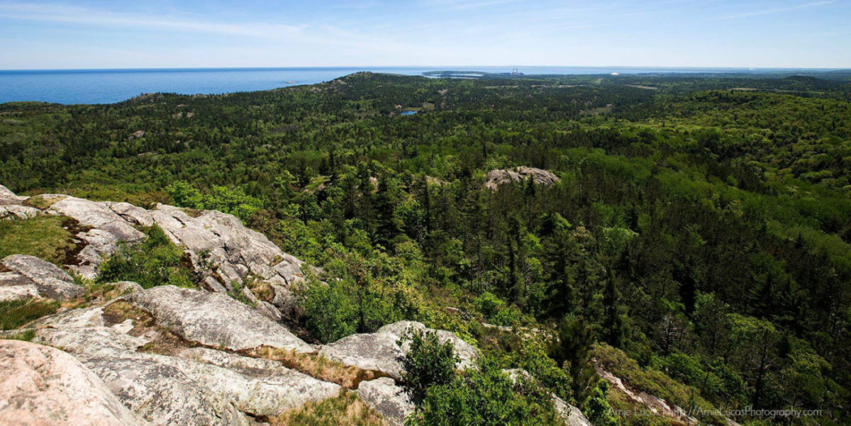 Hiking Hogback Mountain