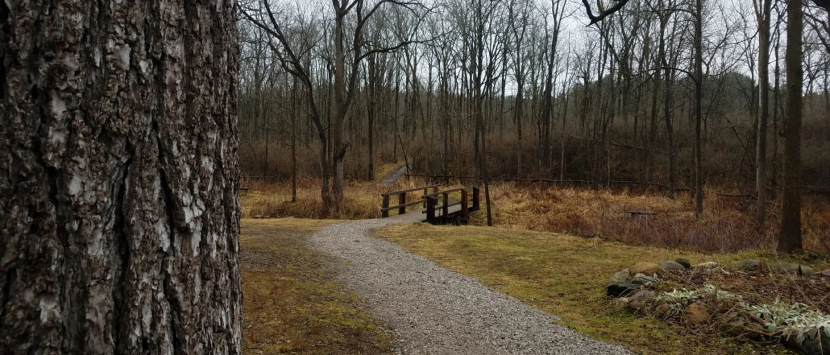 Running Trails at Woldumar Nature Center