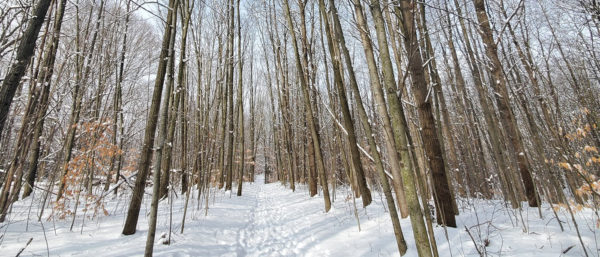 A Winter Hike at Meridian Riverfront Park