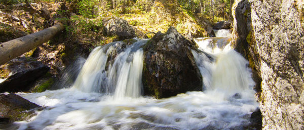 A Quick Stop at Reany Falls