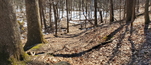 Tackling the Penosha Trail