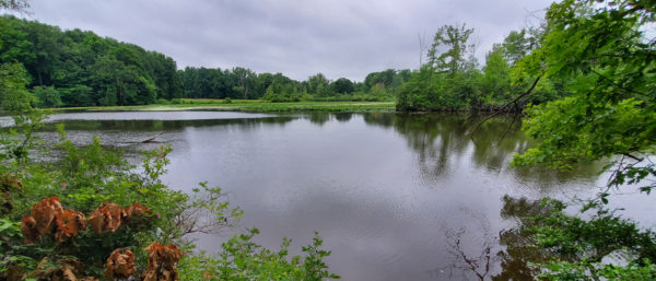 A Fun Run at Anderson Park