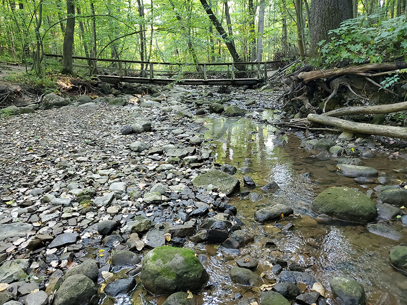 River with Rocks