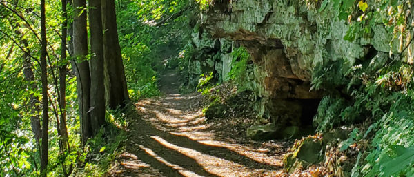 Running Trails at Fitzgerald Park