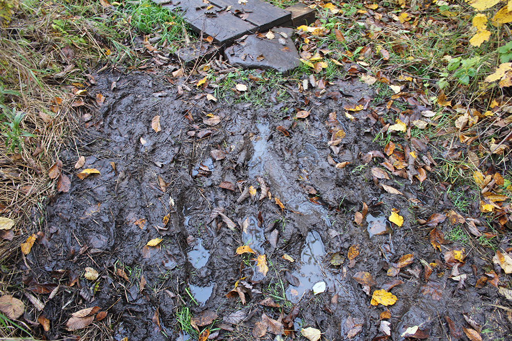 Extremely muddy trail