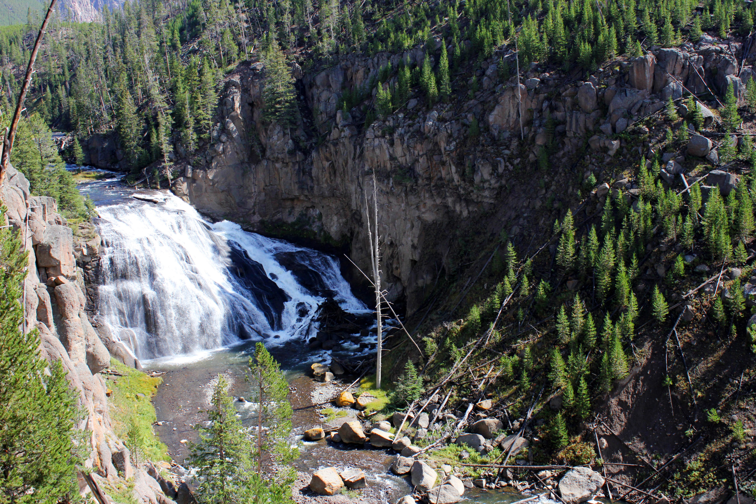 Waterfalls of Yellowstone: Gibbon Falls