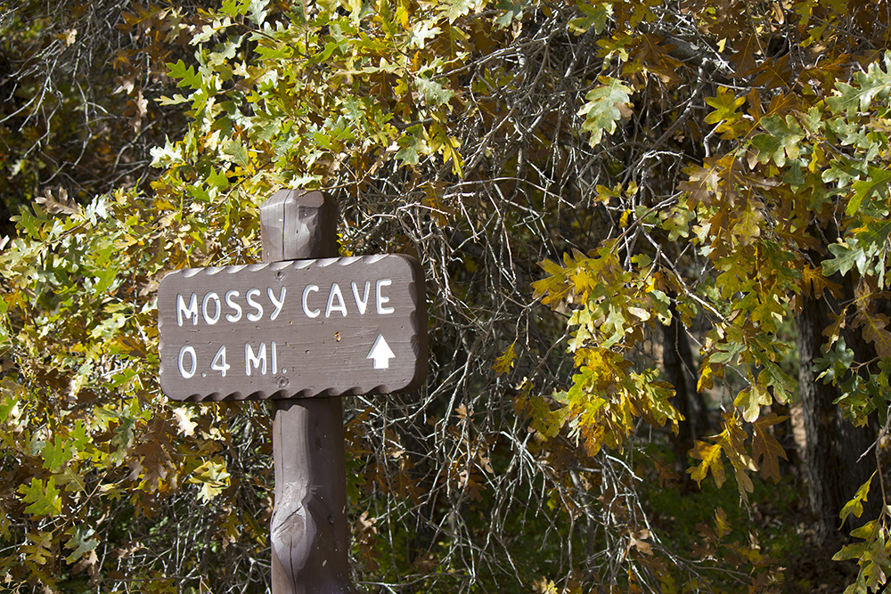 Mossy Cave Trailhead Sign