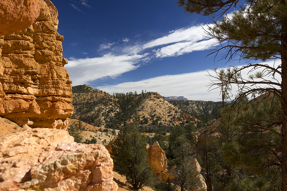 Utah Landscape