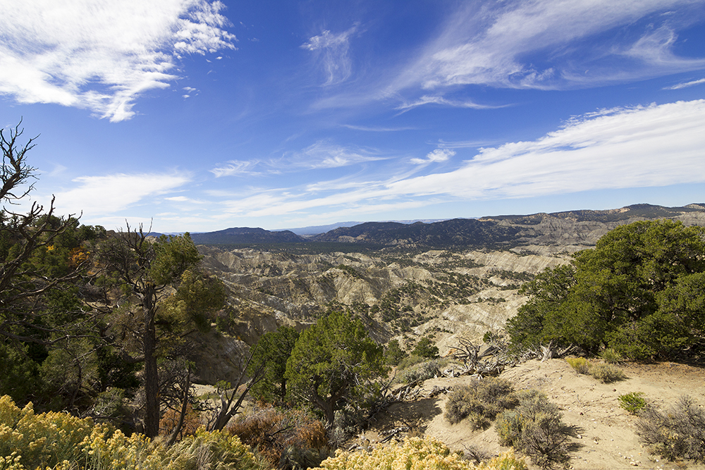 Gray mountains and trees