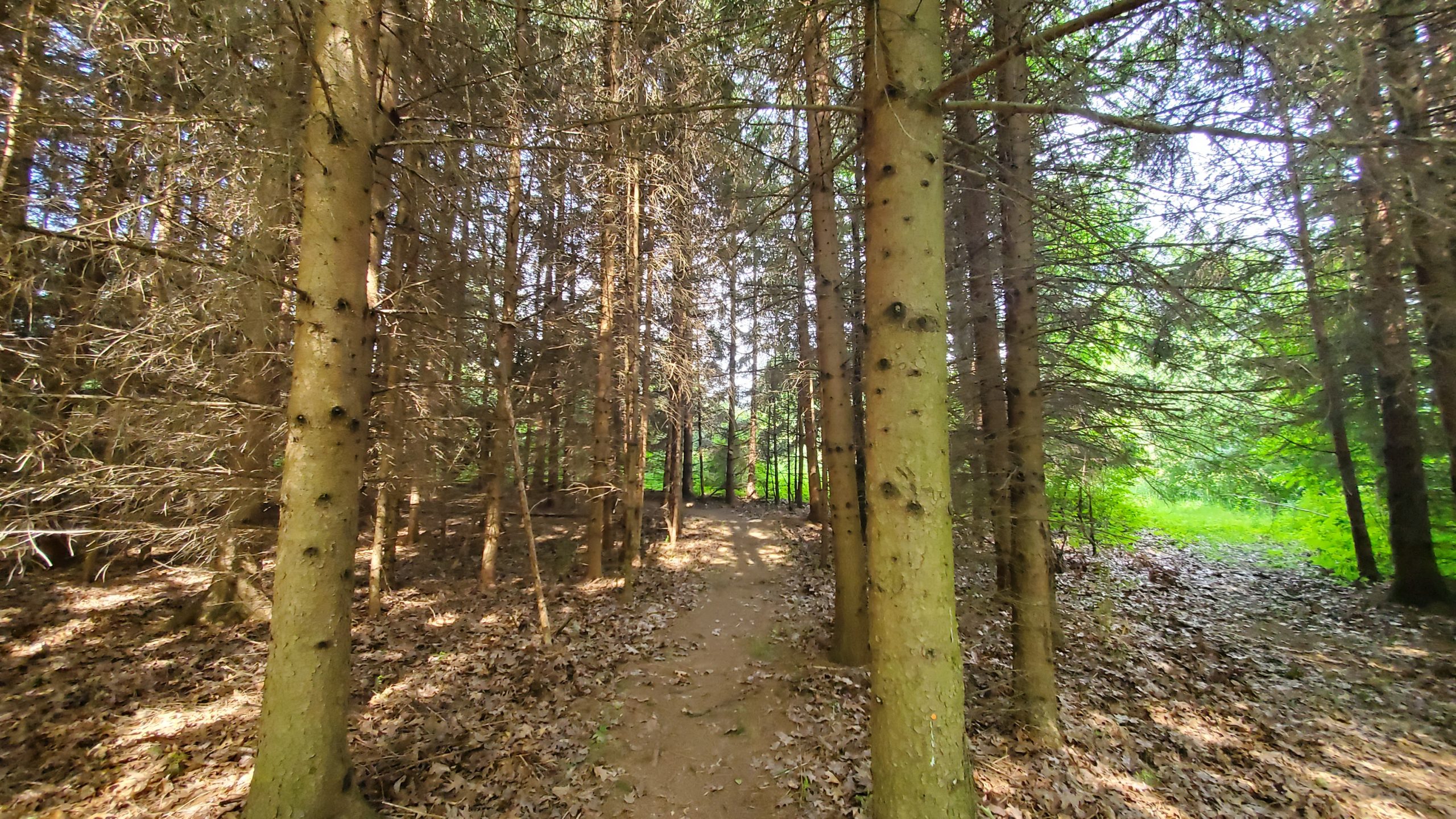 Exploring the Trails at Ingham Conservation District