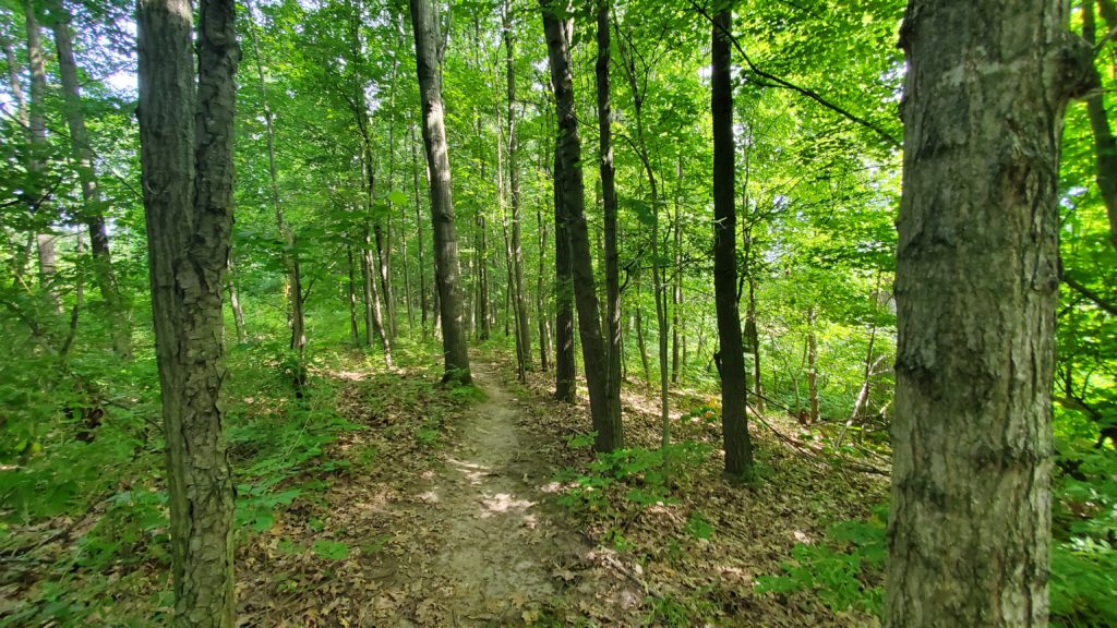 Ingham Conservation District trail