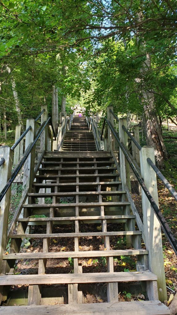 Stairs to Mount Baldhead