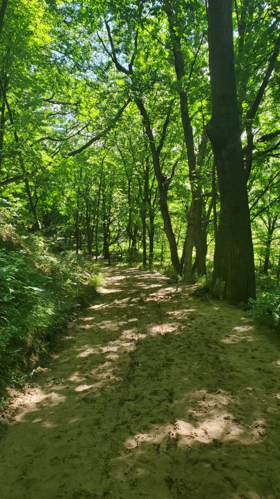 Saugatuck Beach Trail