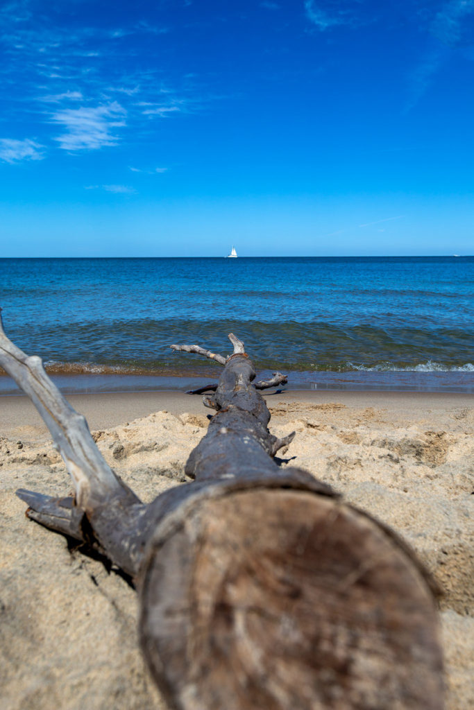 Log, Lake Michigan, and a Sailboat in in Saugatuck Dunes State Park