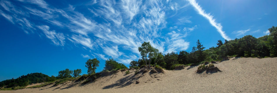 Saugatuck dunes with trees