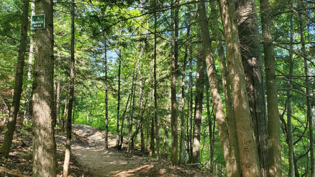 Powell Peak Trail in Powell Township Recreation Area