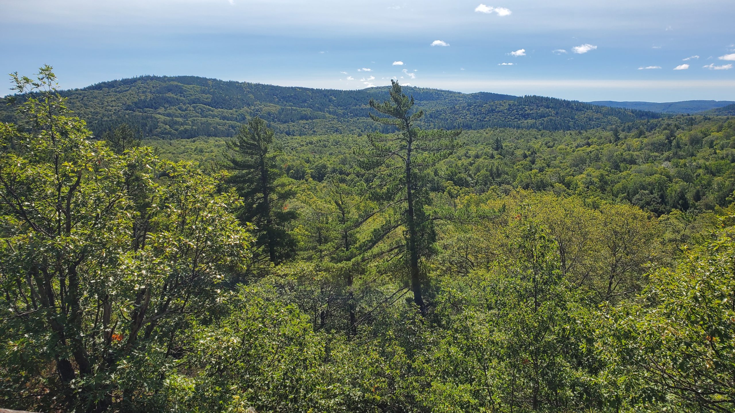 Exploring the Powell Township Recreation Area