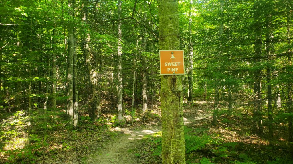 Sweet Pine trail sign in Powell Township Recreation Area